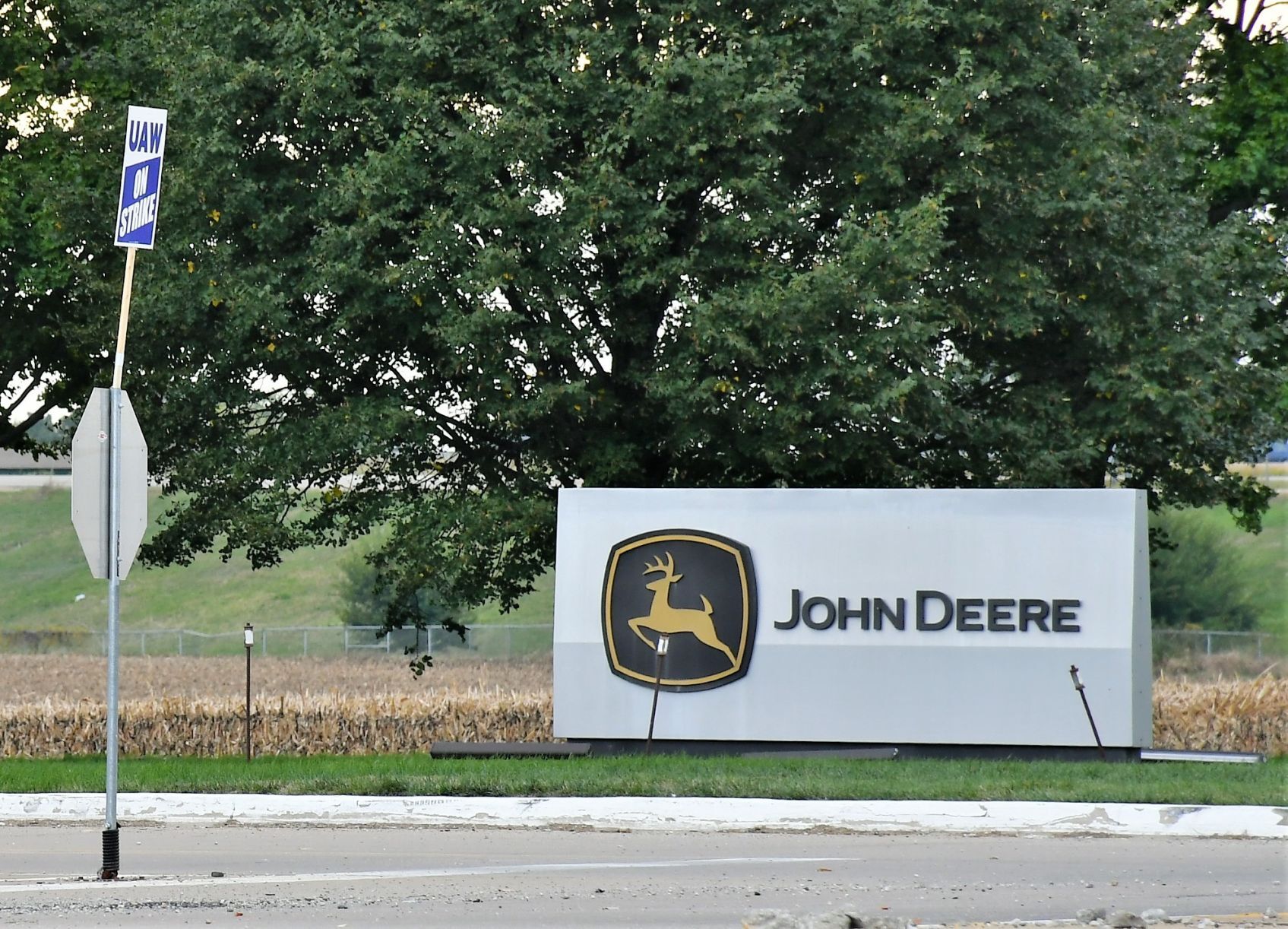 102021-qc-nws-deerestrikebm9.jpg
